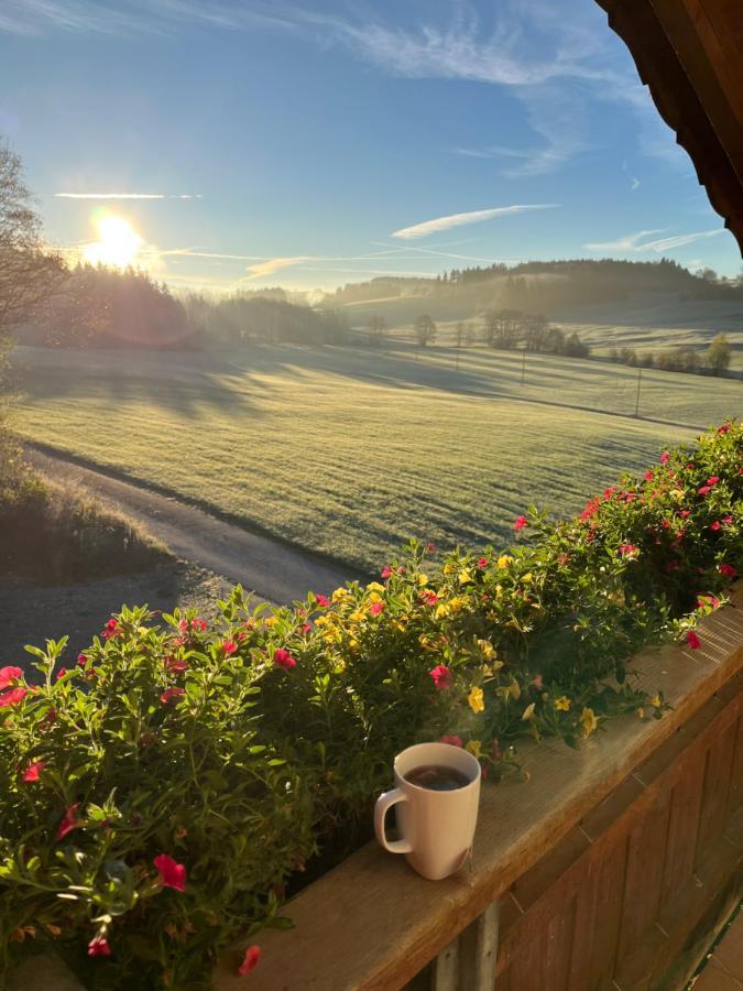 Ferienwohnung Sonnenstrahl Friesenried Esterno foto